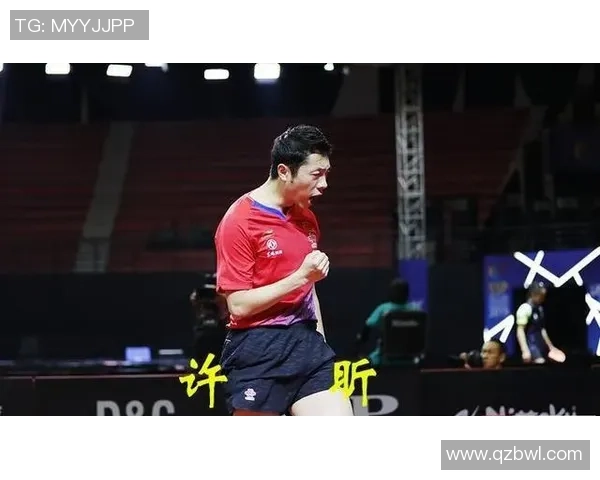 北京网球队防反战术深度解析与实战应用探讨